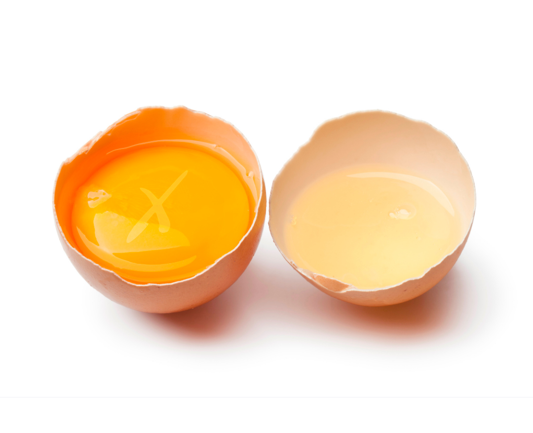 Destino halcón dinámica La clara de huevo en la alimentación para deportistas